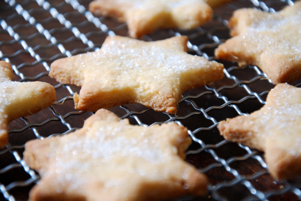 Ingwersterne DSC_3916